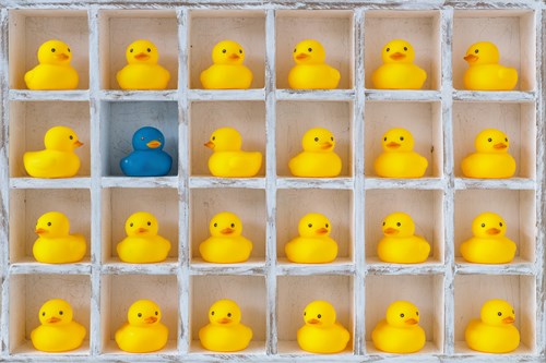 rubber ducks on shelves