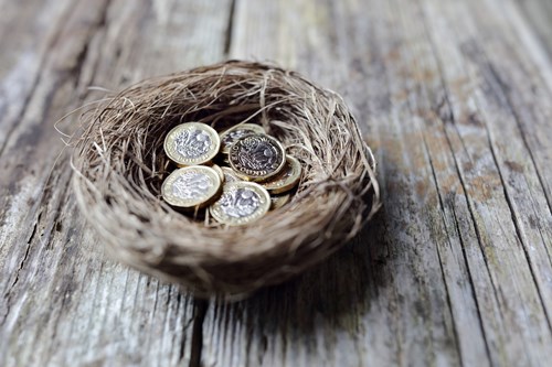 nest of money