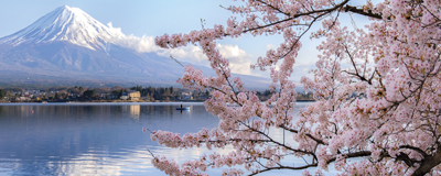 Students’ stories 21: The Old Couple Who Made the Cherry Tree Bloom